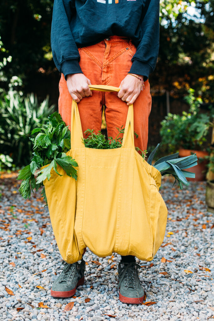 imagen de bolsa con alimentos para la cocina